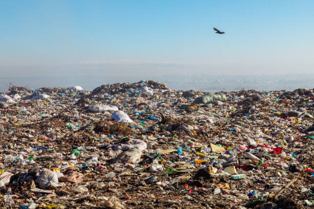 istock Burning trash piles in landfill 1441384205