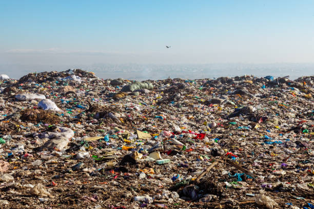 istock Burning trash piles in landfill 1441384297