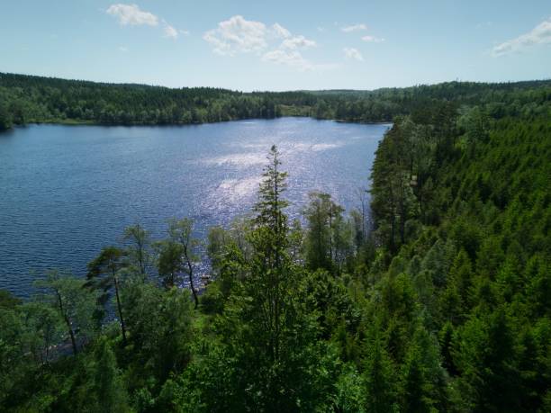 imagem aérea de drone sobre o lago no meio da floresta - sweden summer swimming lake - fotografias e filmes do acervo