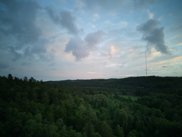 Aerial drone image over a forest with a radio tower in behind. Nice clouds. No people. No recognizable properties.  Landscape of western Sweden.