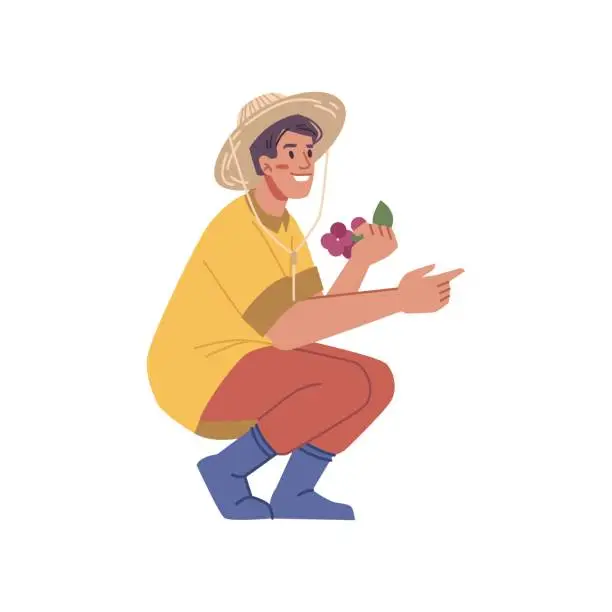 Vector illustration of Harvesting and farming, isolated farmer man holding ripe berries in hands. Male personage working on field growing food. Flat cartoon character, vector in flat style