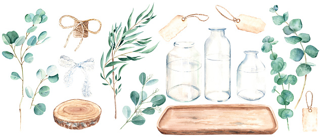 Watercolor eucalyptus branch set with glass bottle, vase, jar, wooden tray and saw cut, vintage paper tags, white lace and jute cord bow. Willow, silver dollar, true blue, baby and seeded eucalyptus. Watercolor hand drawn botanical illustration isolated on white background. Can be used for greeting cards, posters, wedding and baby shower nvitations, logos and floristic design