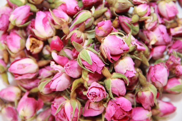 istock tea made from dried natural pink rose buds, close-up as a background 1441391331