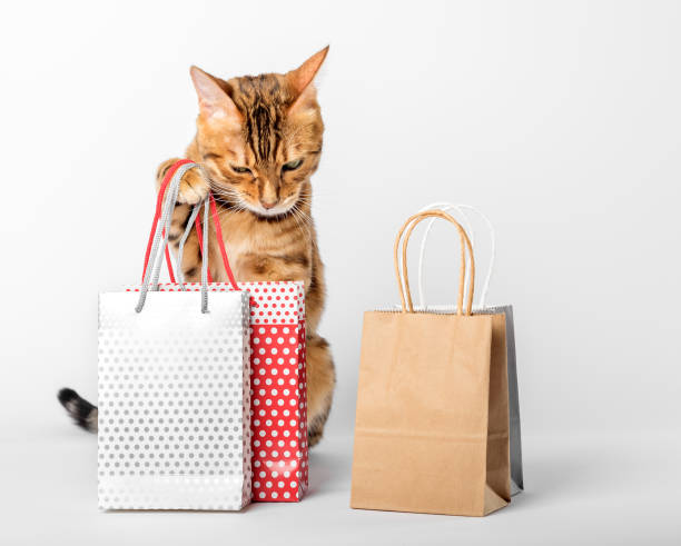 istock Domestic cat among multi-colored packages on a white background. 1441394261