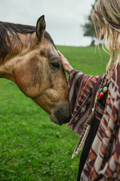 istock Close up horse concept photo 1441394415