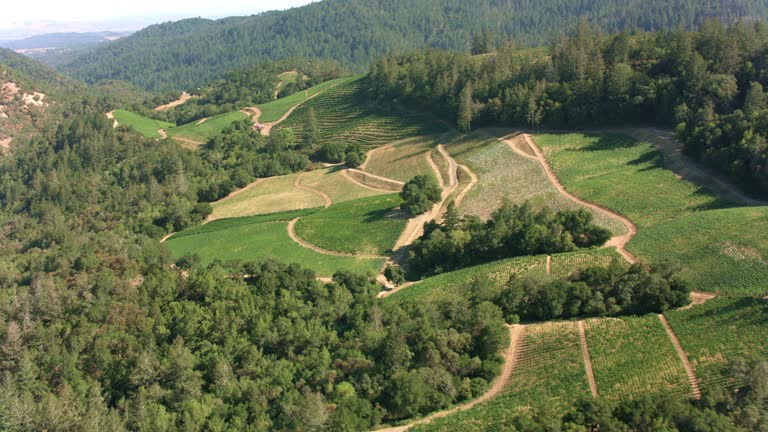 AERIAL Above the hills and vineyards in Napa County, California