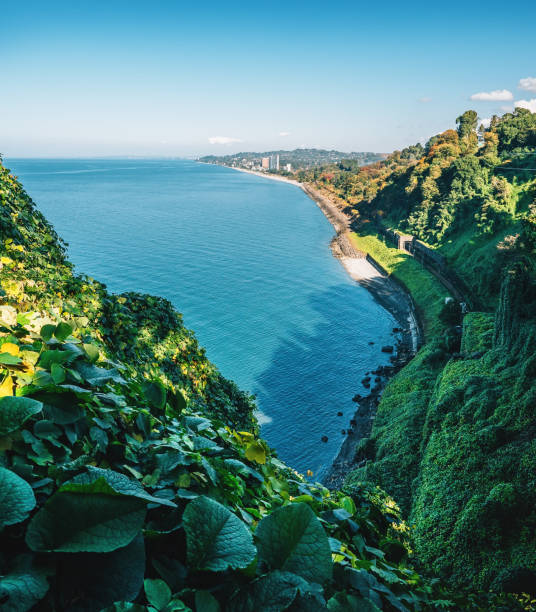 botanischer garten batumi, georgien. blick auf schwarzes meer und eisenbahn, erstaunliche sommerreiselandschaft - ajaria stock-fotos und bilder