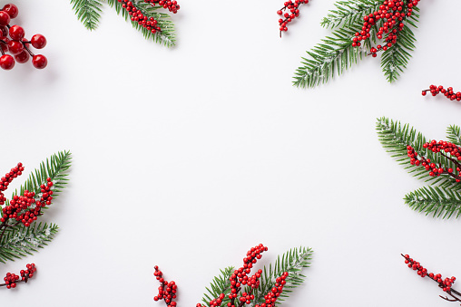 Winter holidays decor concept. Top view photo of pine branches in hoarfrost and mistletoe berries on isolated white background with empty space in the middle