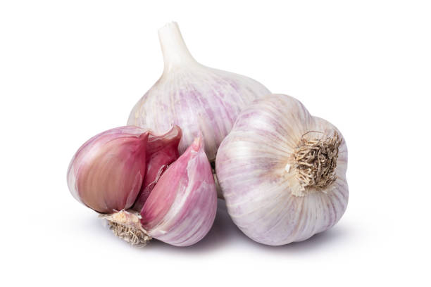 istock Isolated garlic. Raw whole garlic isolated on white background 1441398007