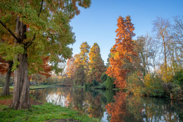 istock Autumn in the park. 1441400208
