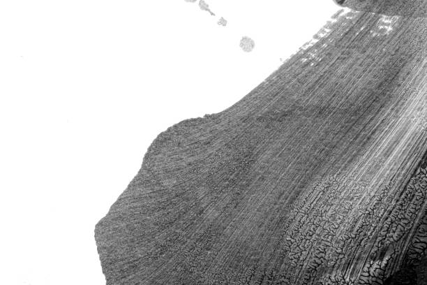 istock black white abstract acrylic painting color texture on white paper background by using rorschach inkblot method 1441401393