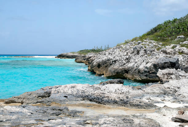 istock Half Moon Cay Eroded Rocky Coastline 1441402796