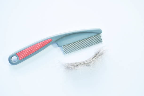 Close-up of unrecognizable female hand wit comb getting ready for grooming