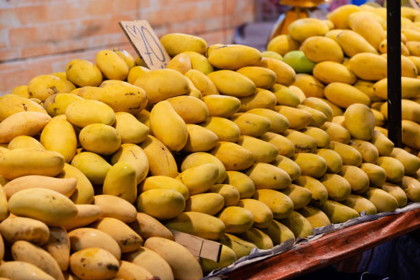 istock counter with fresh mango in the night market 1441403519