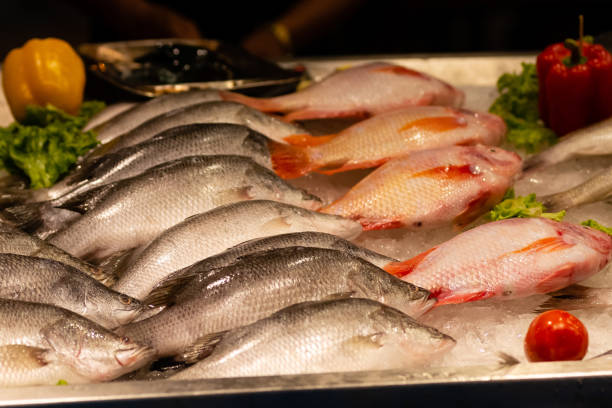 istock Counter near the restaurant with fresh fish on ice 1441403563