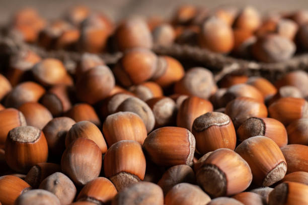 istock close up of hazelnuts on wooden table, top view 1441403798