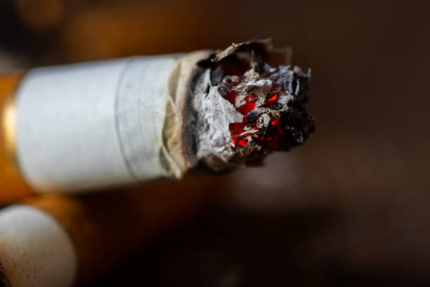 zigarettenkippen auf rgey hintergrund nahaufnahme - smoking smoking issues cigarette addiction stock-fotos und bilder