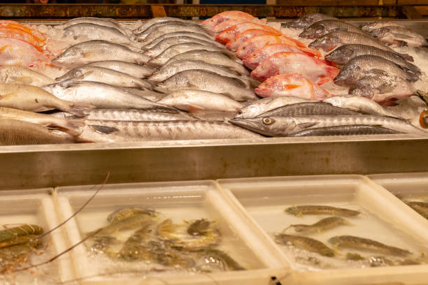 istock Counter near the restaurant with fresh fish on ice 1441406132