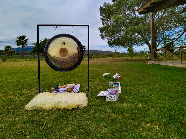 istock Gong instrument at fieldscape 1441406911