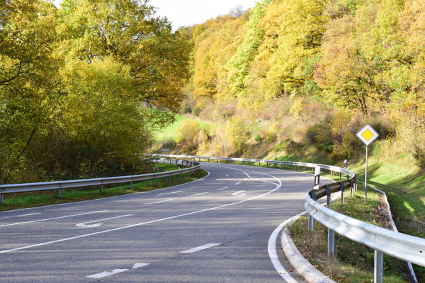 istock country road with bright autumn forest 1441408878