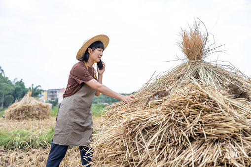 A young woman farmer was working in the farmland