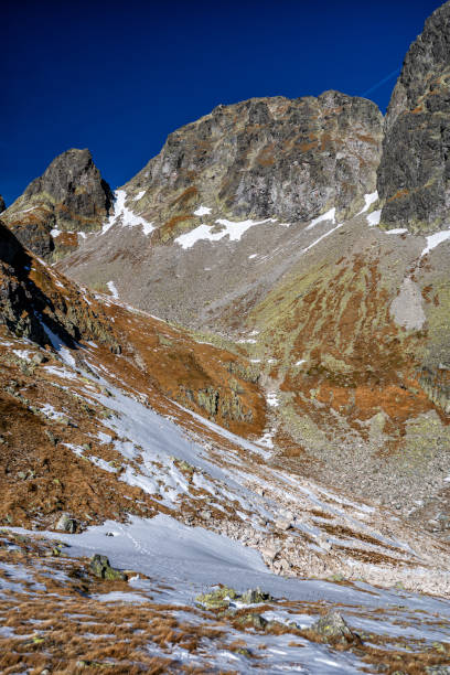 istock The Great Cold Valley, Tatra National Park, Slovakia. 1441409627