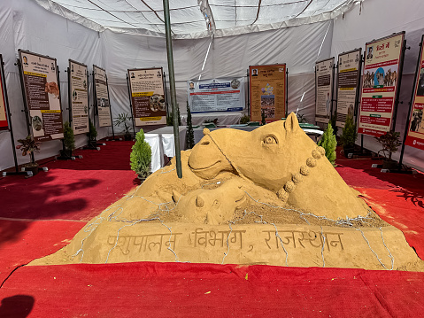 Pushkar, Rajasthan, India - November 2022: Camel made with sand at pushkar fair ground by artist.