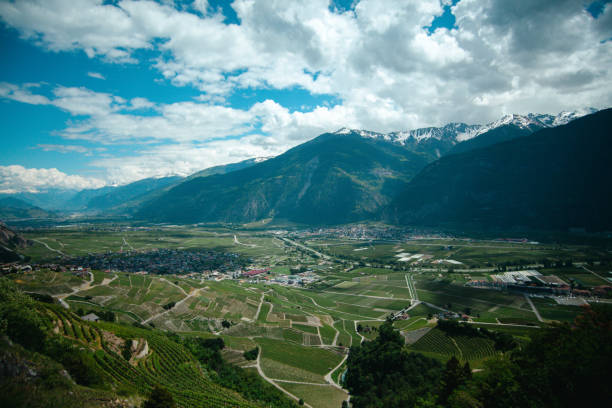 istock Suspension Bridge in Wallis Farinet in nature 1441411274