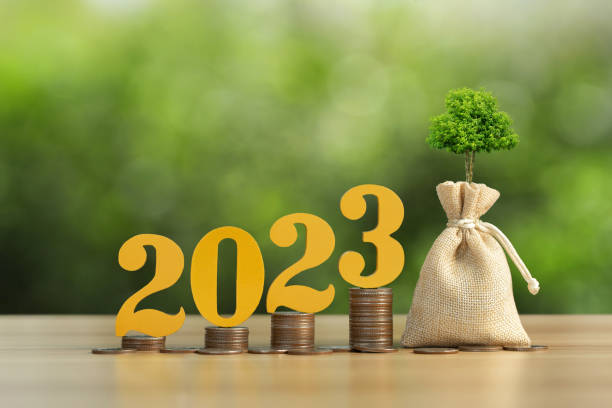 Text of 2023 on top of coins stacks with a sack and small plant tree. 2023 New year saving money and financial planning concept. Business financial planning ideas for goals in 2023.Budget 2023. Text of 2023 on top of coins stacks with a sack and small plant tree. 2023 New year saving money and financial planning concept. Business financial planning ideas for goals in 2023.Budget 2023. gold to ira stock pictures, royalty-free photos & images
