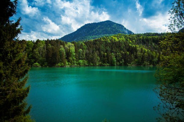 istock Mountains with large forest in Lac de Montsalvens 1441412853