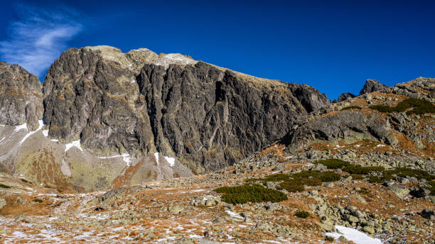 istock The Great Cold Valley, Tatra National Park, Slovakia. 1441414052