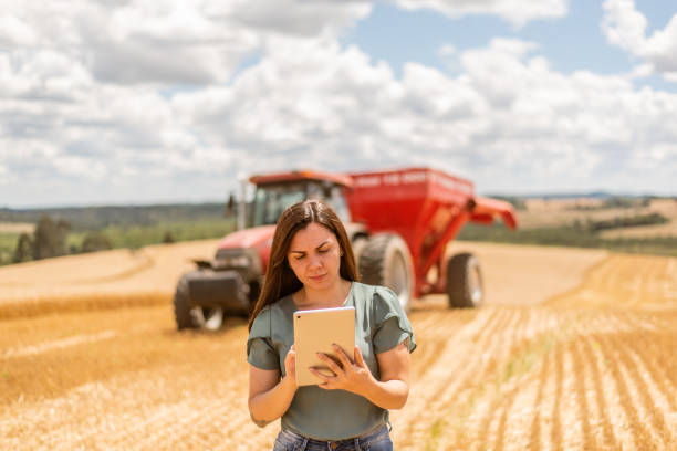 istock Agronomist woman using digital tablet in wheat field 1441414056