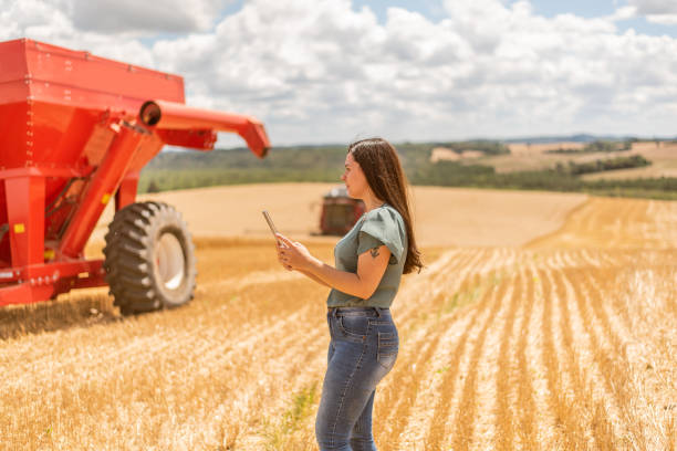 istock Agronomist woman using digital tablet in wheat field 1441414061