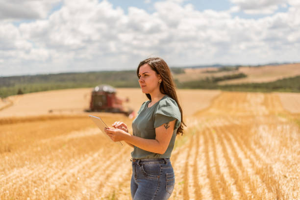 donna agronoma che utilizza la tavoletta digitale nel campo di grano - agricoltrice foto e immagini stock