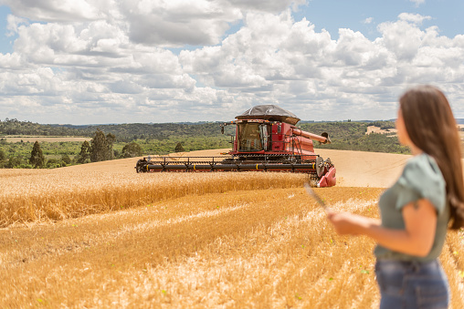 Agronomist woman using digital tablet in wheat field