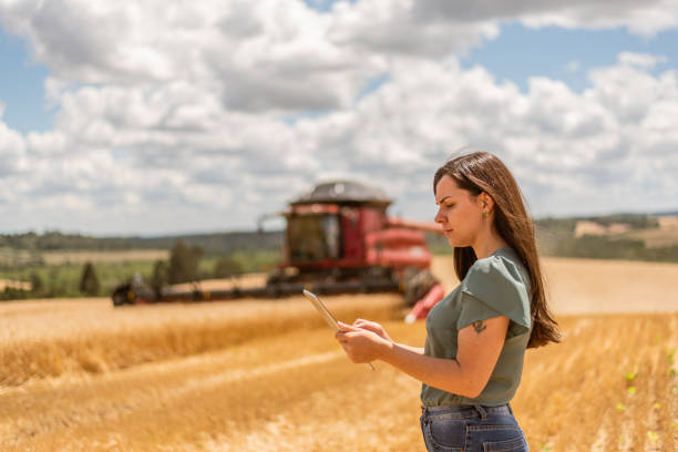 istock Agronomist woman using digital tablet in wheat field 1441414069
