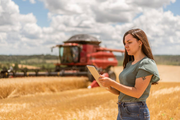 istock Agronomist woman using digital tablet in wheat field 1441414072