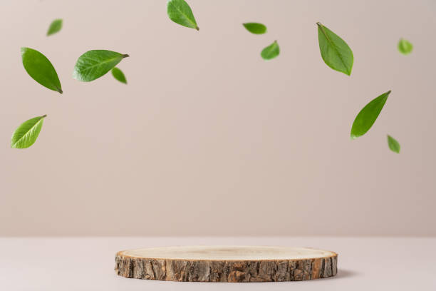 Wood slice podium and green flying leaves on white background stock photo