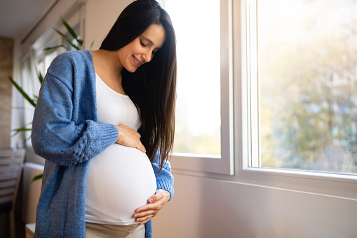 Portrait of beautiful pregnant woman at home.