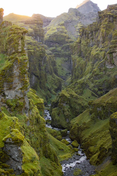 istock Small stream flowing through the Mulagljufur canyon 1441414660
