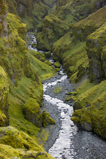 istock Small stream flowing through the Mulagljufur canyon 1441414661