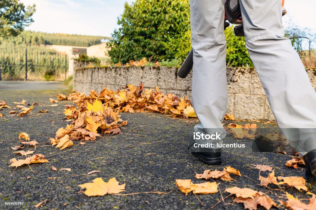 Clearing leaves using a leaf blower Woman using a leaf blower to clear autumn leaves from the driveway. Active Lifestyle Stock Photo