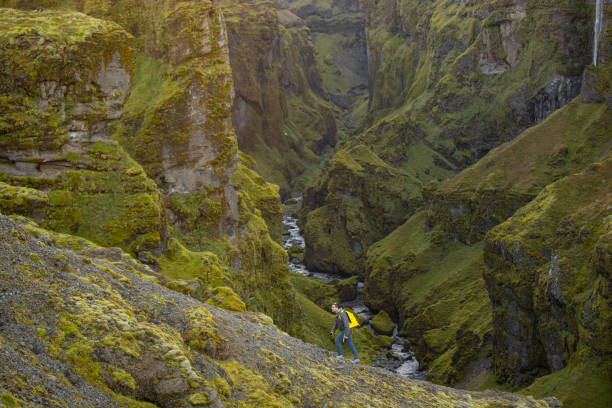 Unrecognizable tourist walking up the small hill with the Mulagljufur canyon covered in green moss in the background on Iceland