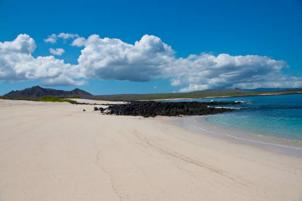 istock San Cristobal Beaches. Galapagos Islands 1441416524