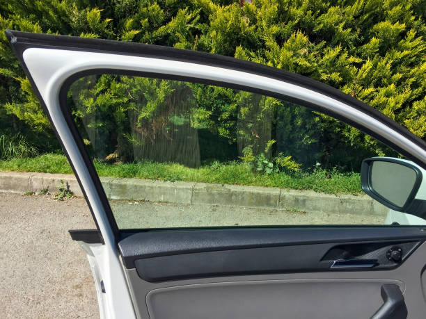 Open Car Door With Green Plants Background Stock Photo - Download Image Now  - Car Door, Indoors, Car - iStock