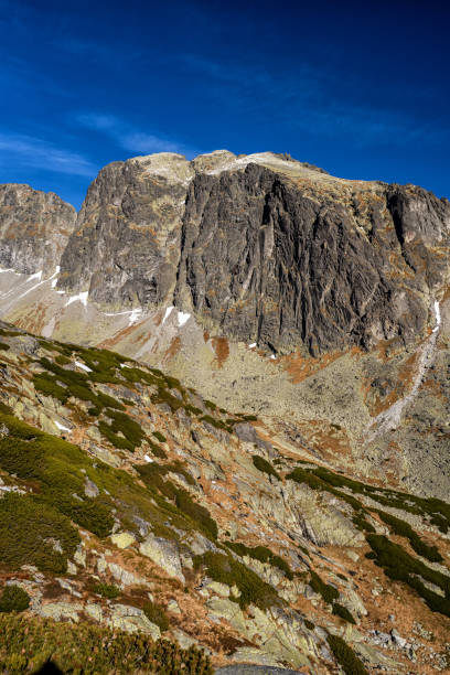 istock The Great Cold Valley, Tatra National Park, Slovakia. 1441420233