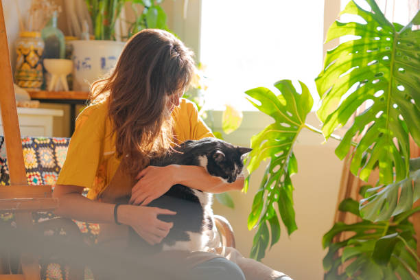 Woman embracing her cat and sitting on the armchair stock photo