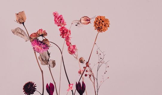 Bouquet with dried flowers against a pink background.