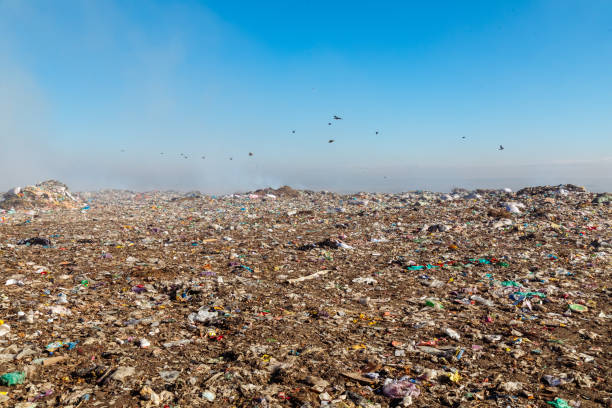 istock Burning trash piles in landfill 1441427576