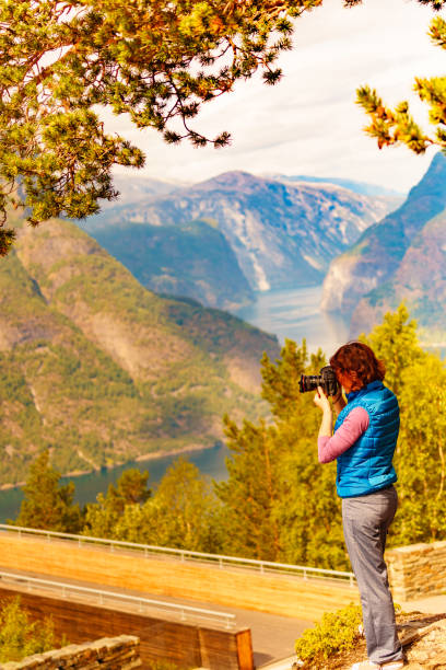 Tourist on nature take travel picture, Norway Tourist woman over Stegastein lookout taking with camera travel picture, enjoying fjord mountains landscape. National tourist scenic route Aurlandsfjellet in Norway stegastein viewpoint stock pictures, royalty-free photos & images